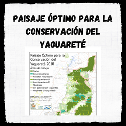 Read more about the article Actualización del Paisaje Óptimo de Conservación del Yaguareté en el Corredor Verde de Misiones